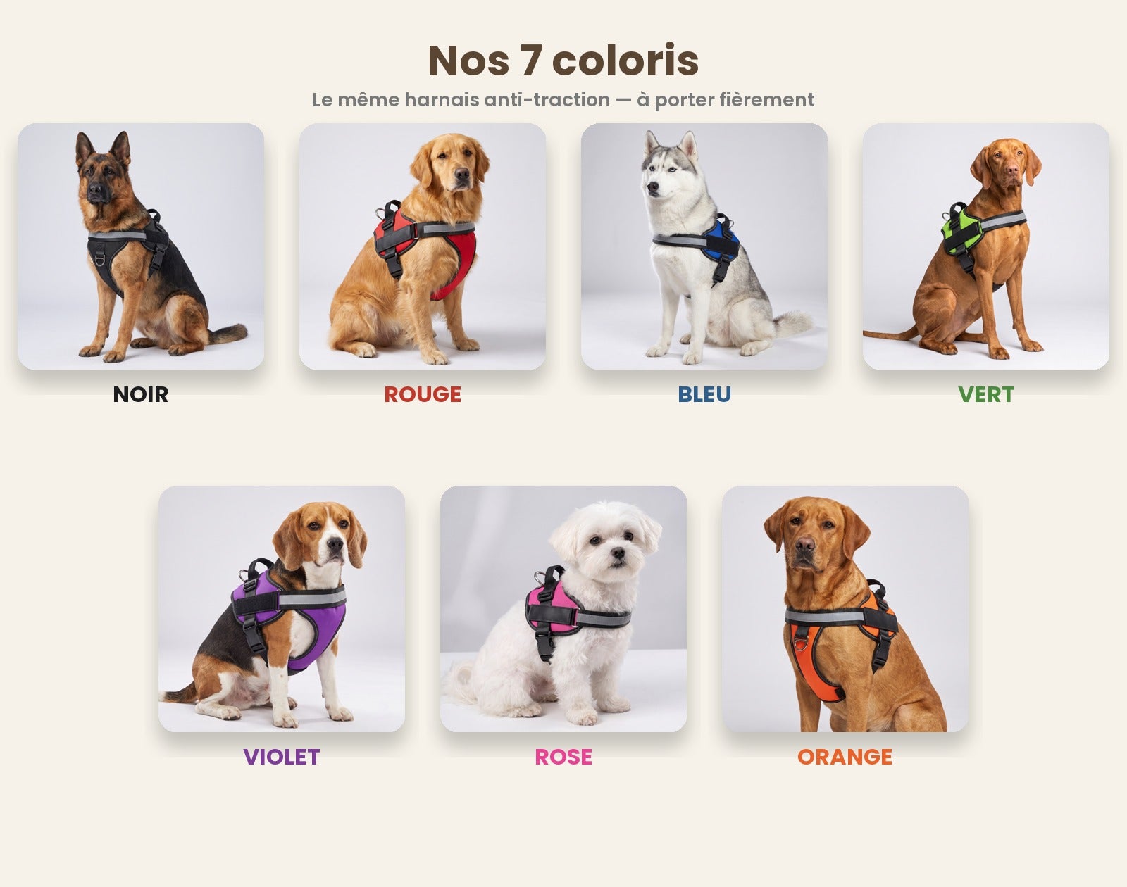 Nos 7 coloris du harnais anti-traction Wooflex portés par des chiens