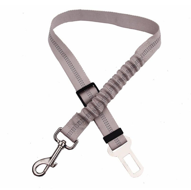 Ceinture de sécurité auto pour chien Wooflex