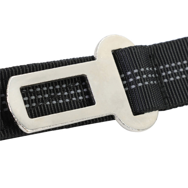 Laisse bungee anti-choc pour chien Wooflex