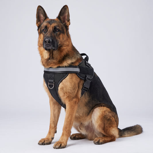 Harnais Anti-Traction pour Chien Wooflex™ – Réfléchissant & Réglable