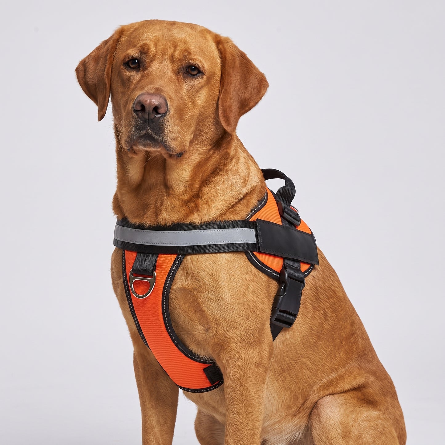 Harnais Anti-Traction pour Chien Wooflex™ – Réfléchissant & Réglable