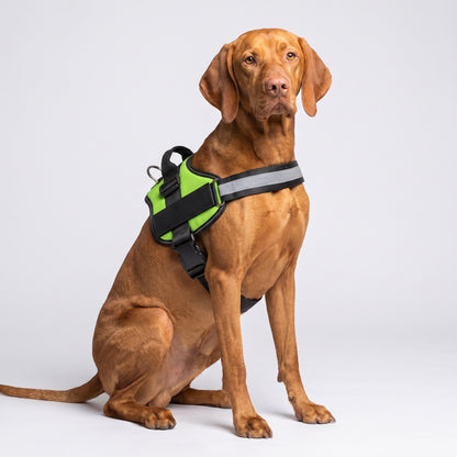 Harnais Anti-Traction pour Chien Wooflex™ – Réfléchissant & Réglable