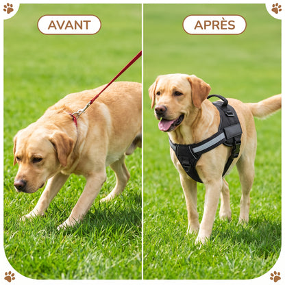 Harnais Anti-Traction pour Chien Wooflex™ – Réfléchissant & Réglable