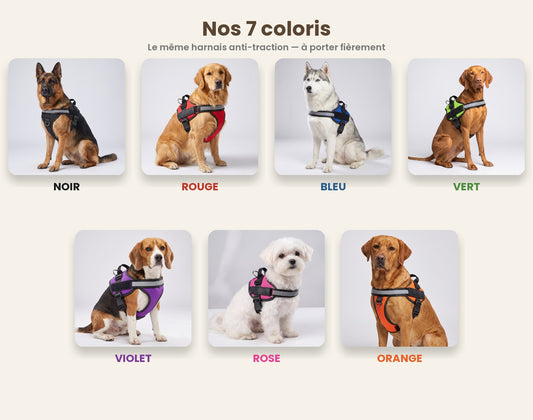 Harnais Anti-Traction pour Chien Wooflex™ – Réfléchissant & Réglable