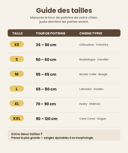 Harnais Anti-Traction pour Chien Wooflex™ – Réfléchissant & Réglable